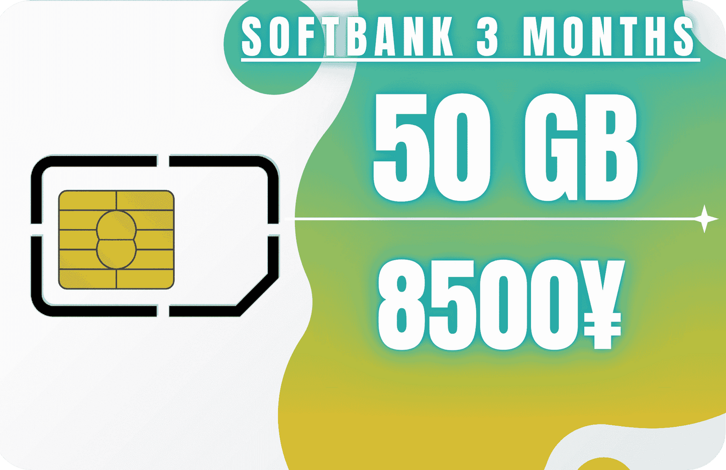 Softbank 3-Month 50 GB Monthly Data & Incoming SMS Only