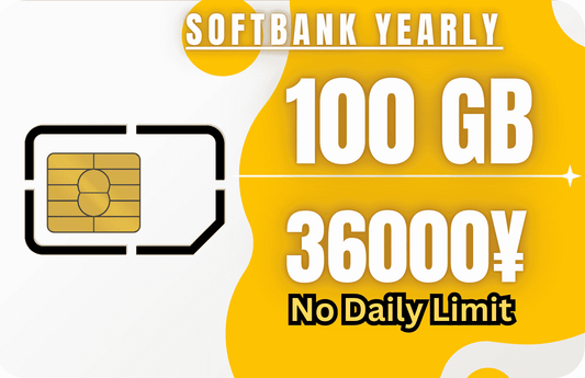 Softbank Yearly 100 GB Monthly Data & Incoming SMS Only