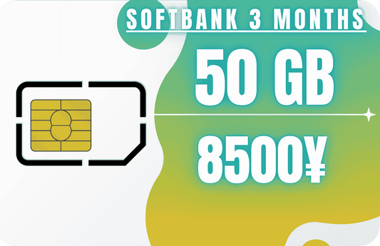 Softbank 3-Month 50 GB Monthly Data & Incoming SMS Only