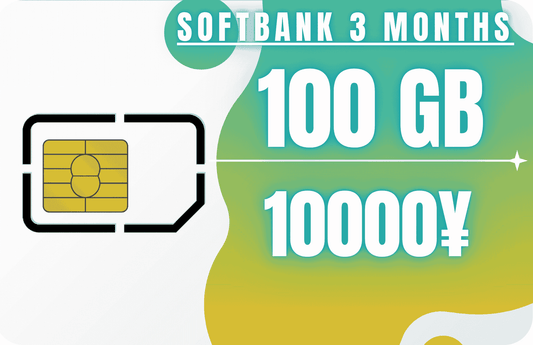 Softbank 3-Month 100 GB Monthly Data & Incoming SMS Only