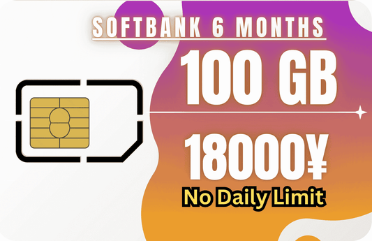 Softbank 6-Month 100 GB Monthly Data & Incoming SMS Only